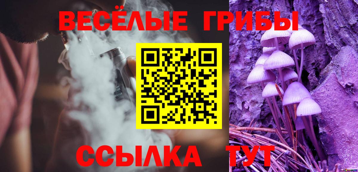 Галлюциногенные грибы Psilocybe Рязань