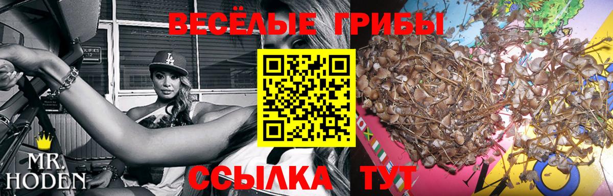 Рязань  Псилоцибиновые грибы прущие грибы  Галлюциногенные грибы прущие грибы  Вход с VPN 